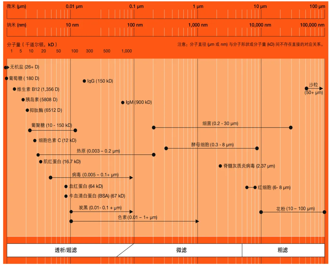 微信圖片_20260424103932_126_2128.png